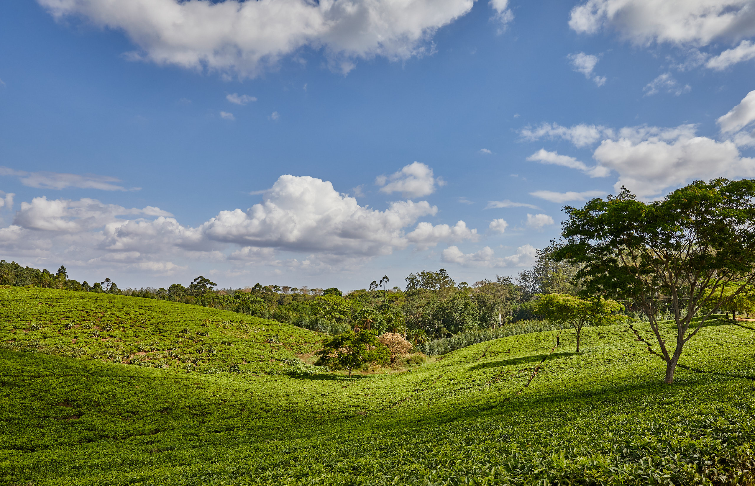 00351 APJ Sambia Malawi 2018 02853