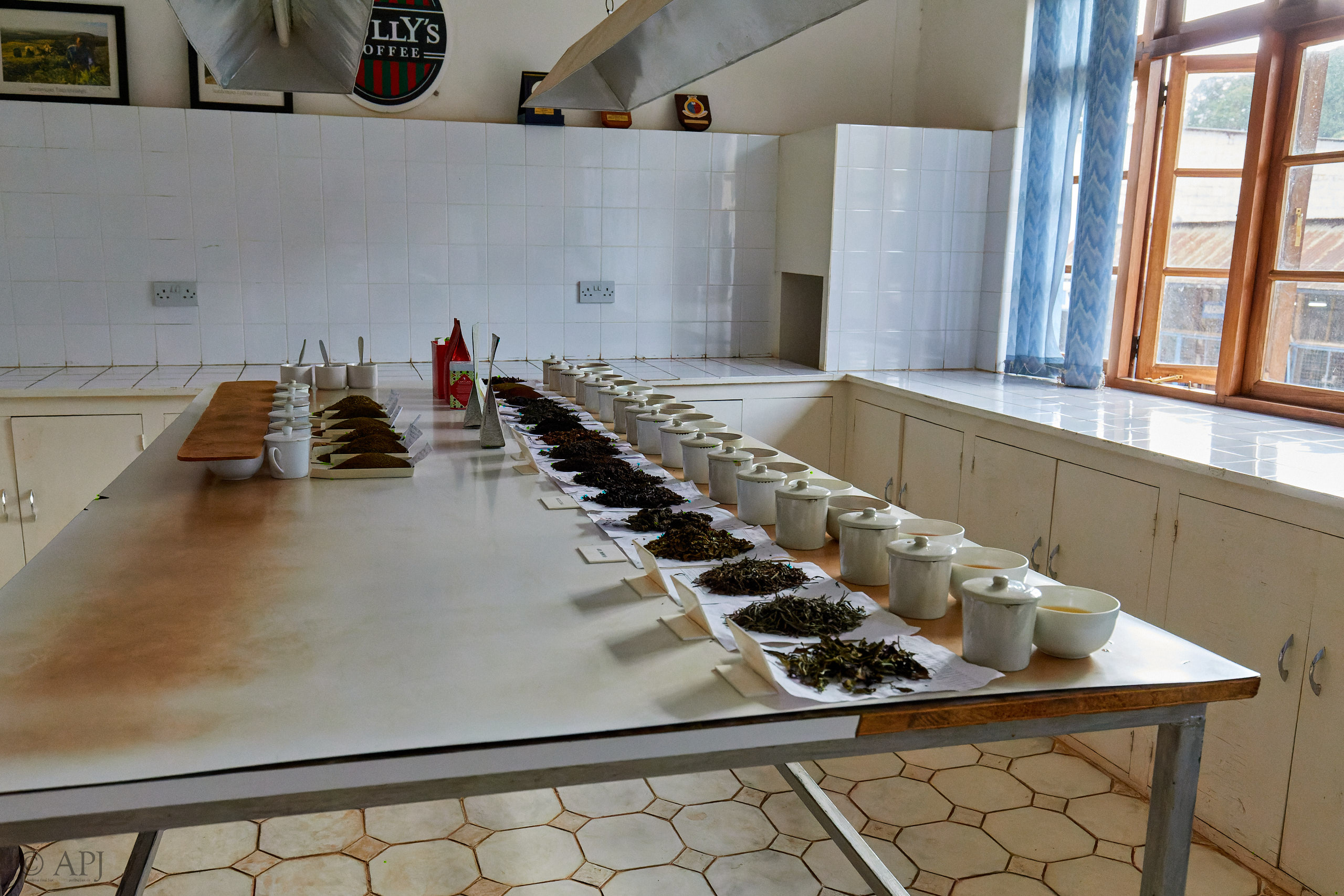 00353 APJ Sambia Malawi 2018 02858 D