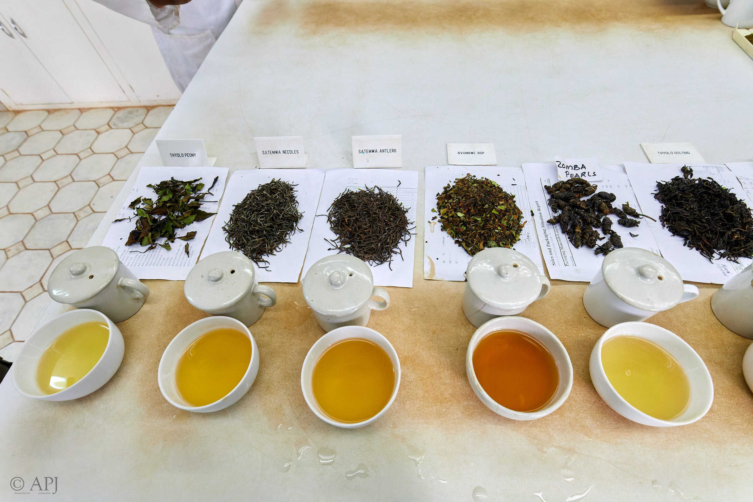 00355 APJ Sambia Malawi 2018 02864 D