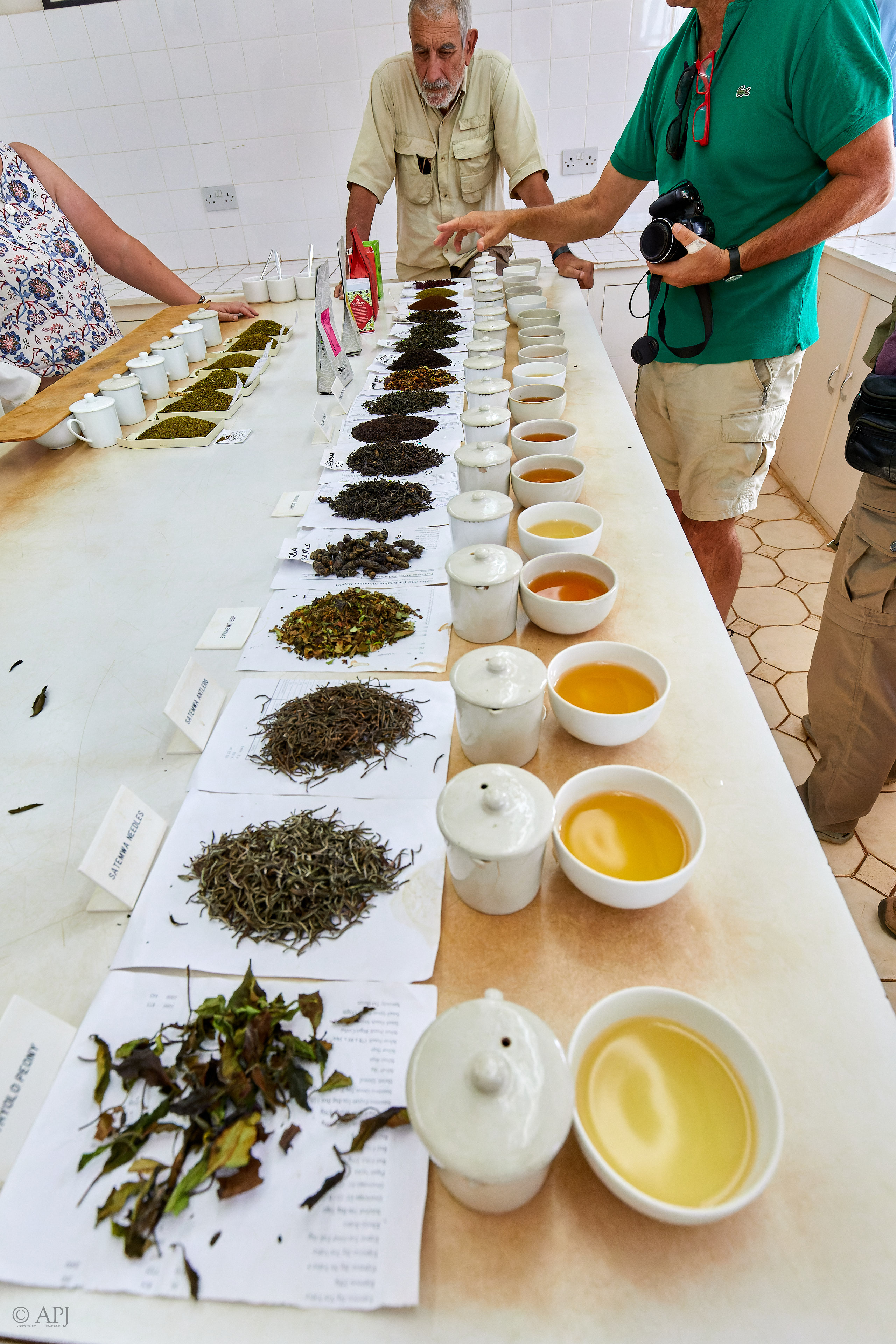 00356 APJ Sambia Malawi 2018 02865 D