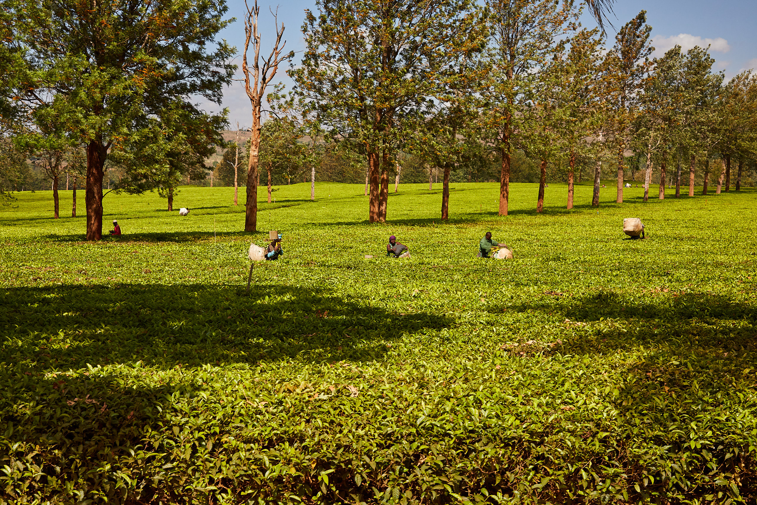 00369 APJ Sambia Malawi 2018 02920