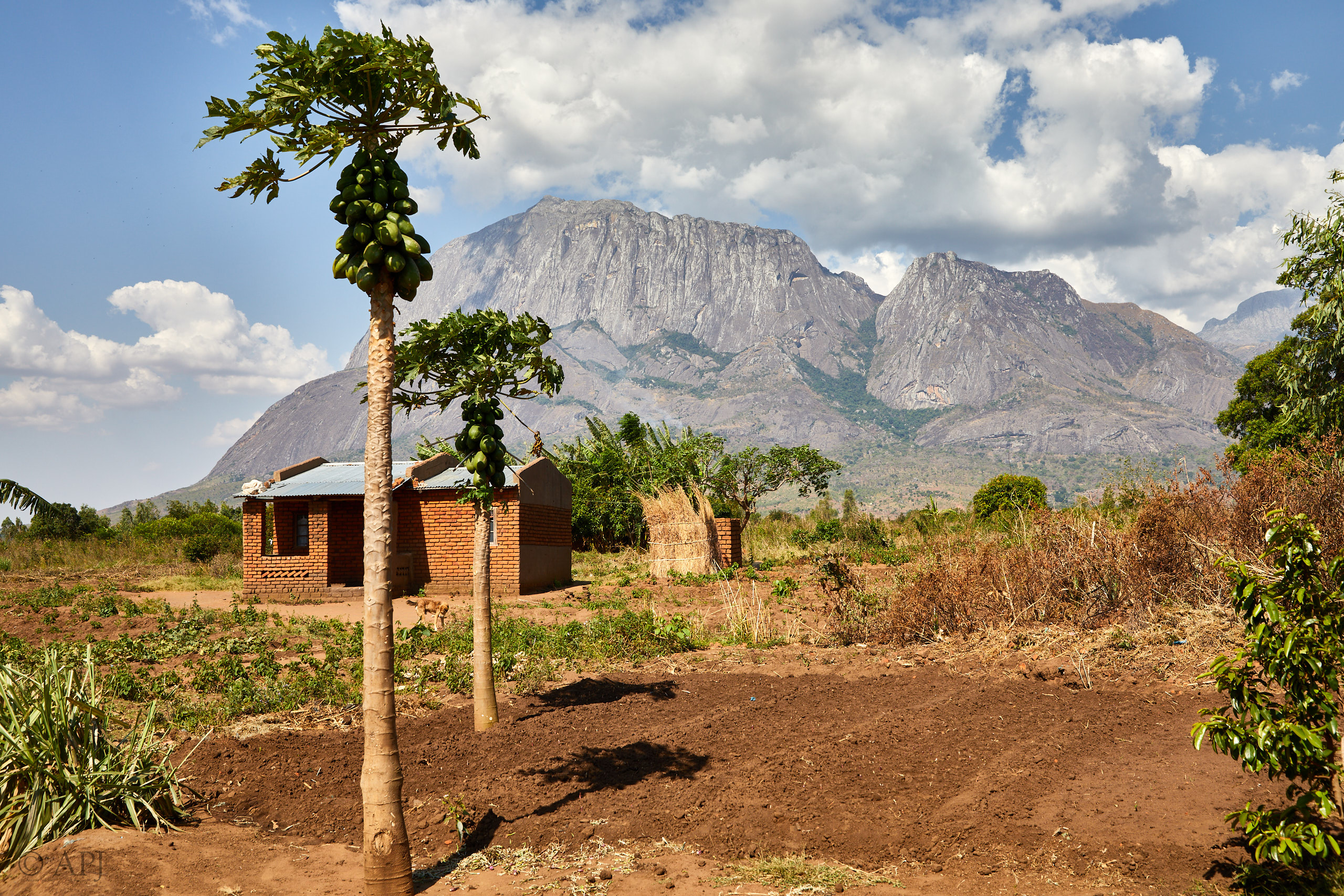 00385 APJ Sambia Malawi 2018 02990