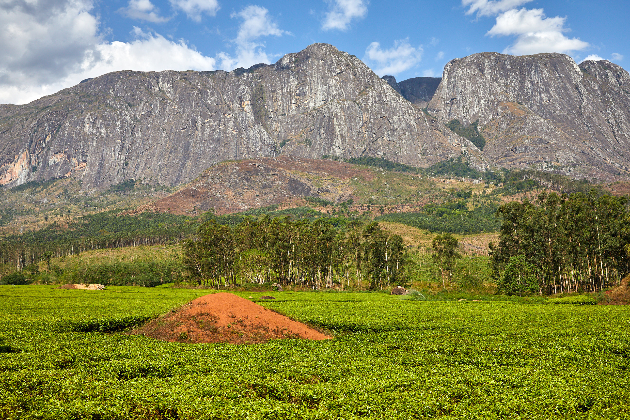 00396 APJ Sambia Malawi 2018 03049