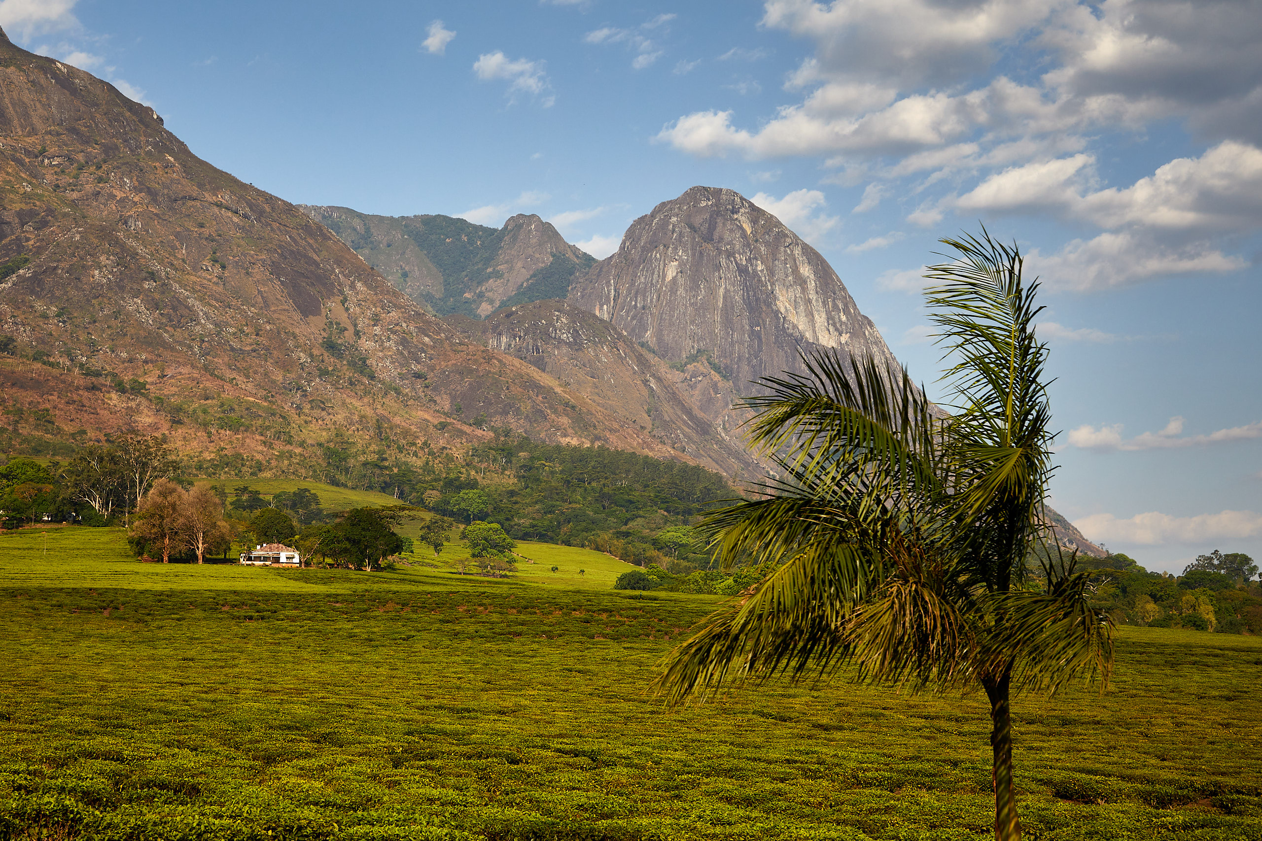 00397 APJ Sambia Malawi 2018 03052