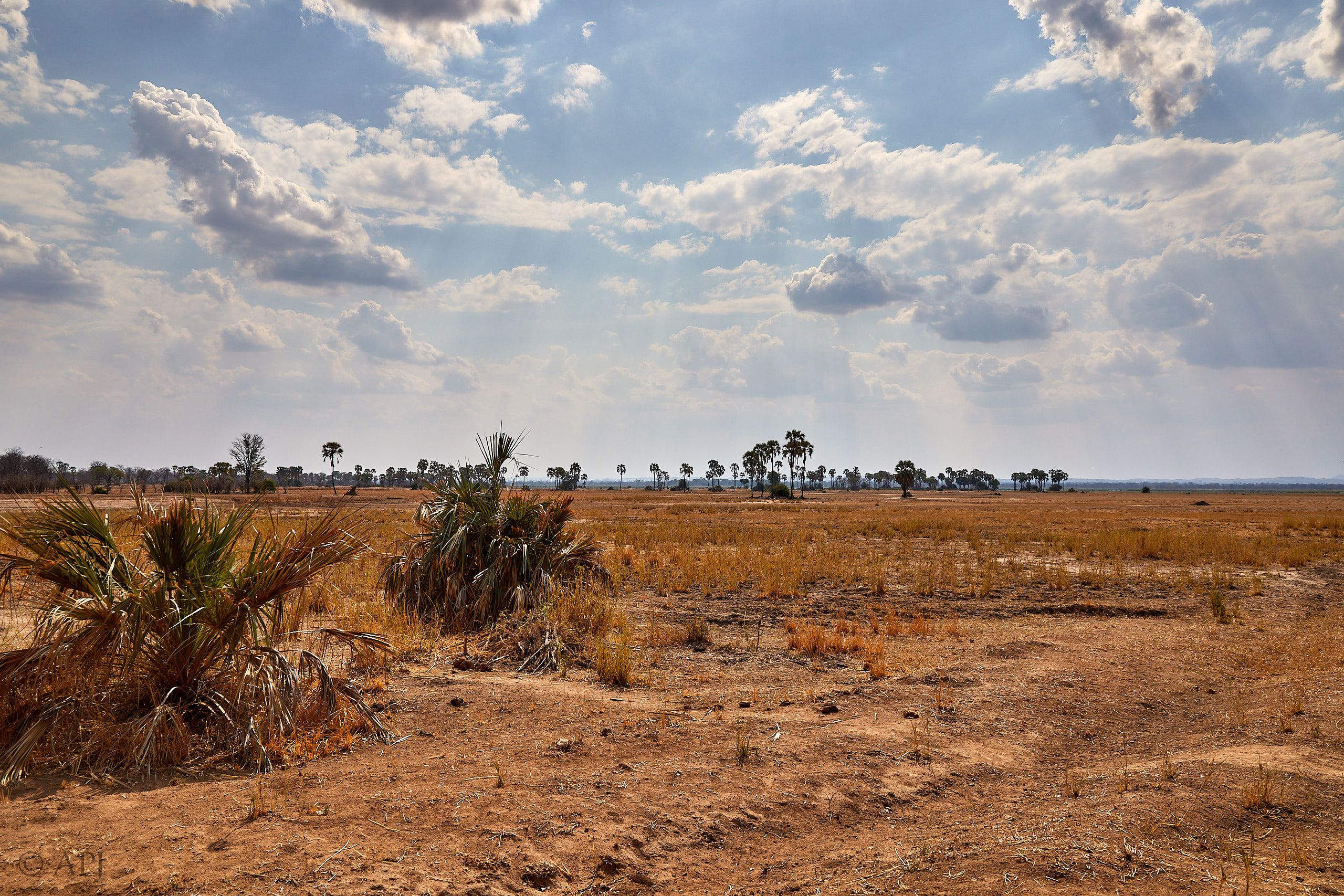 00406 APJ Sambia Malawi 2018 03087
