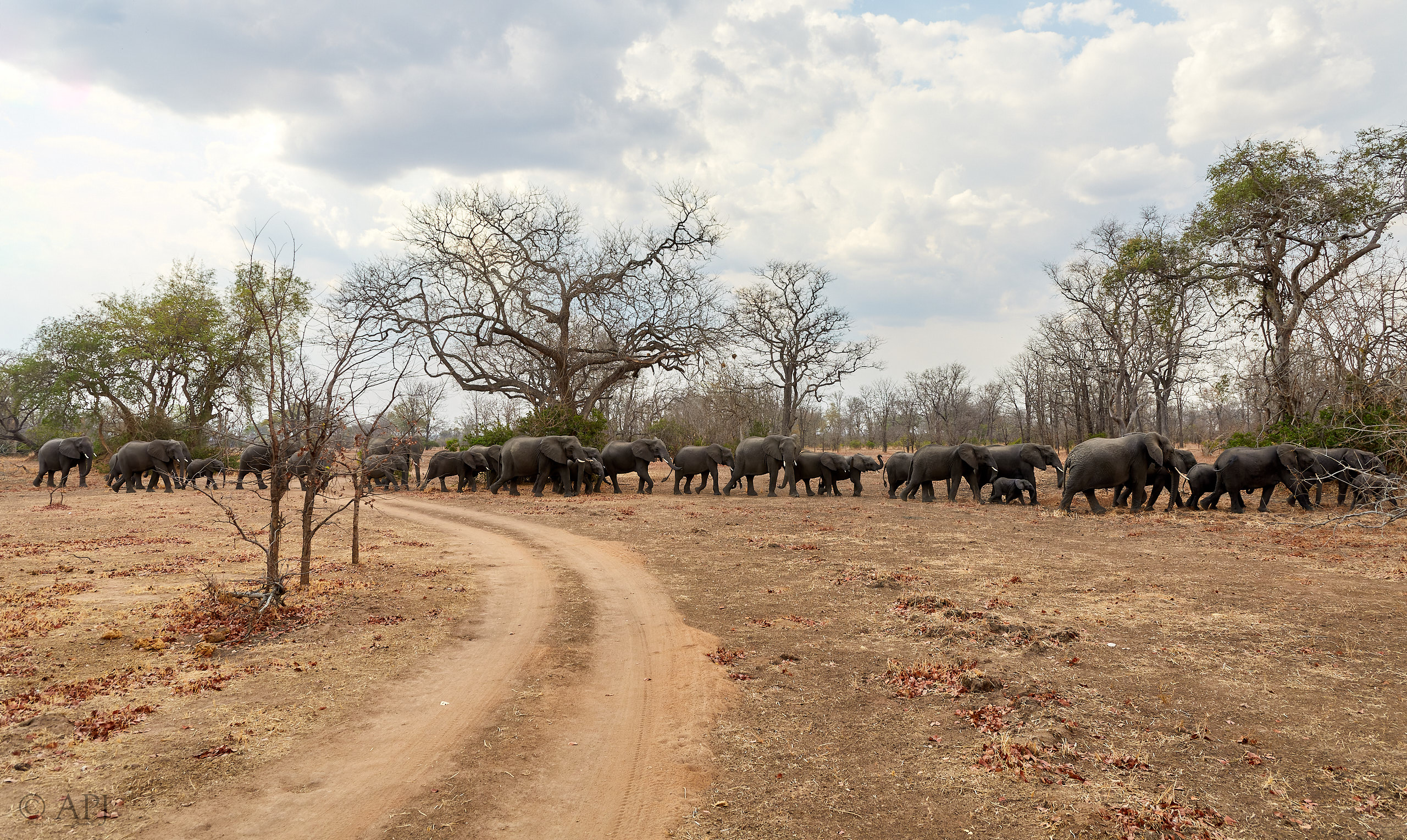 00408 APJ Sambia Malawi 2018 03102 D