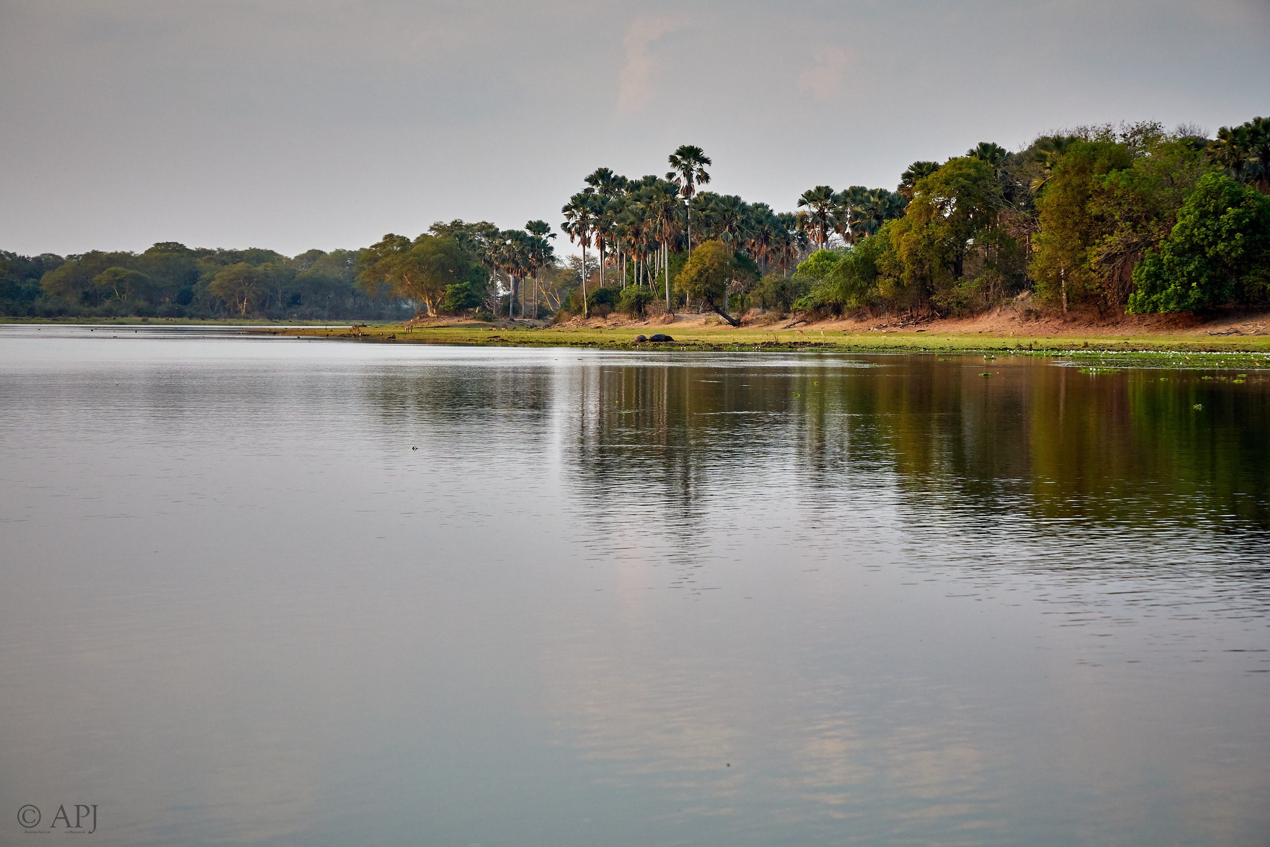 00412 APJ Sambia Malawi 2018 03127