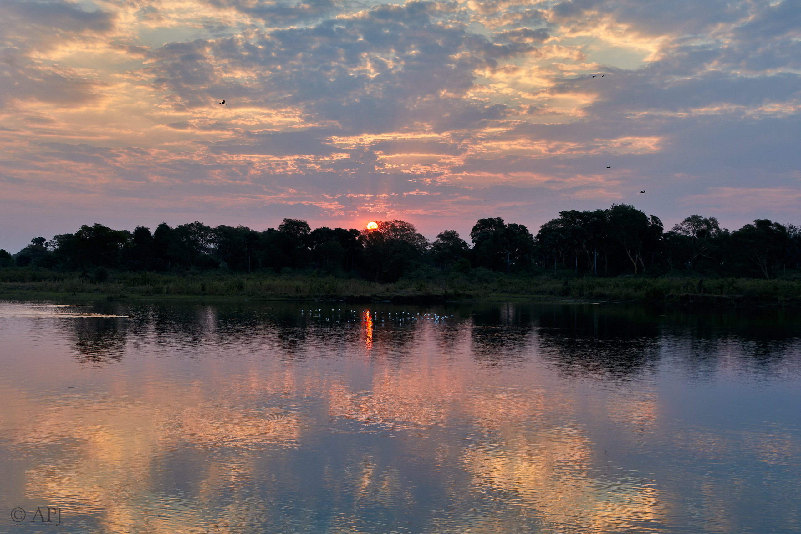 00415 APJ Sambia Malawi 2018 03144 D