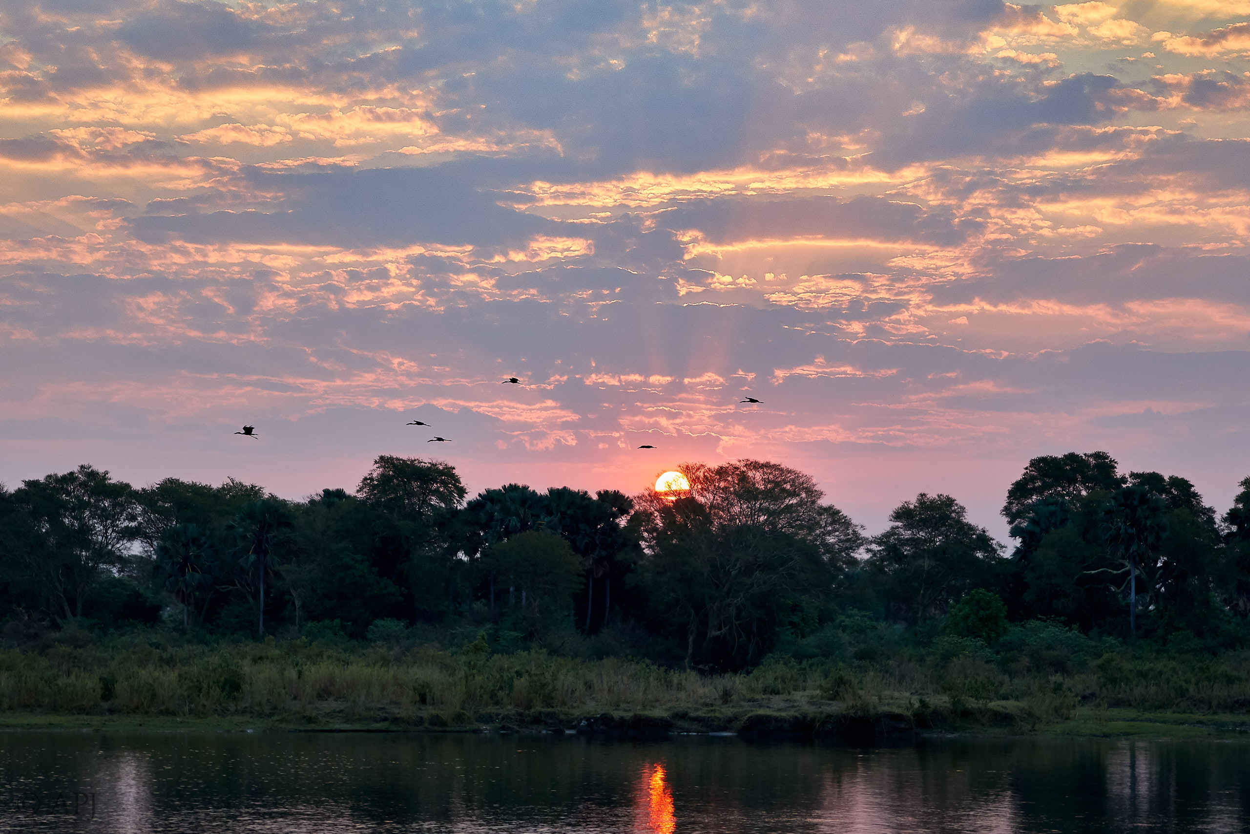 00416 APJ Sambia Malawi 2018 03147