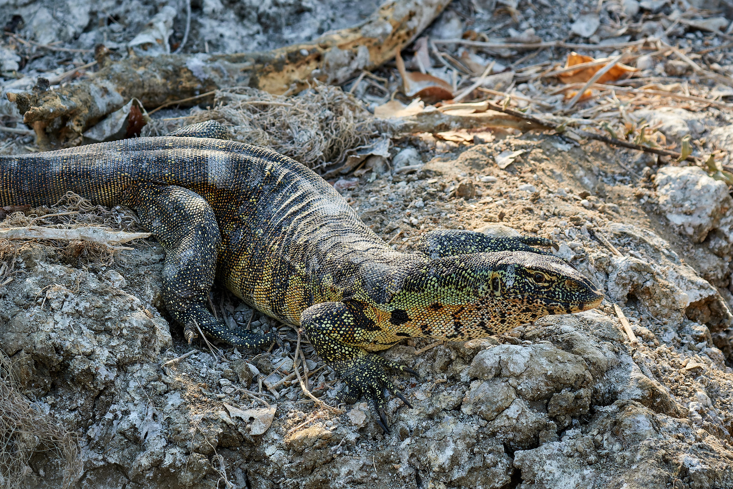 00428 APJ Sambia Malawi 2018 03217 D