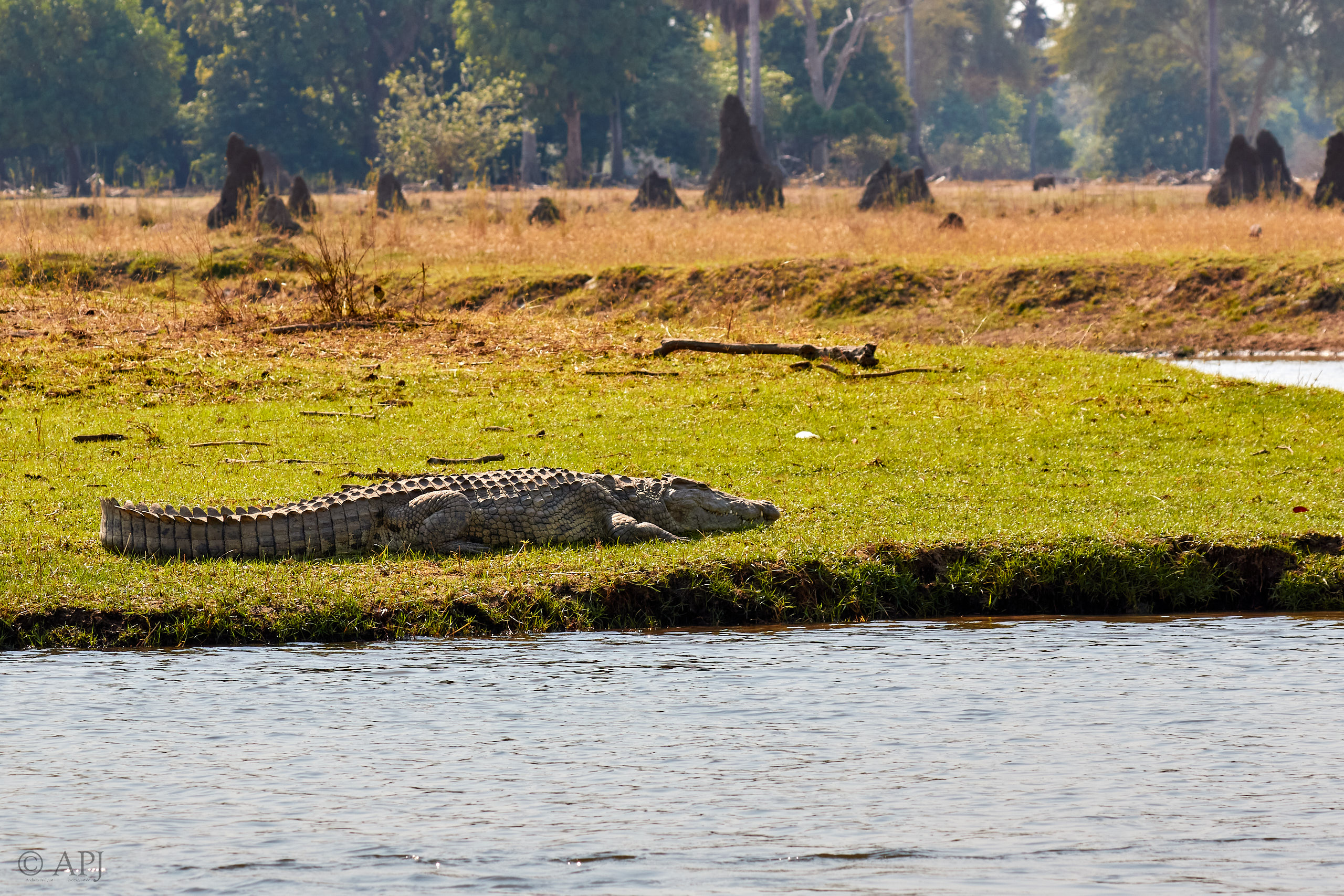 00434 APJ Sambia Malawi 2018 03306