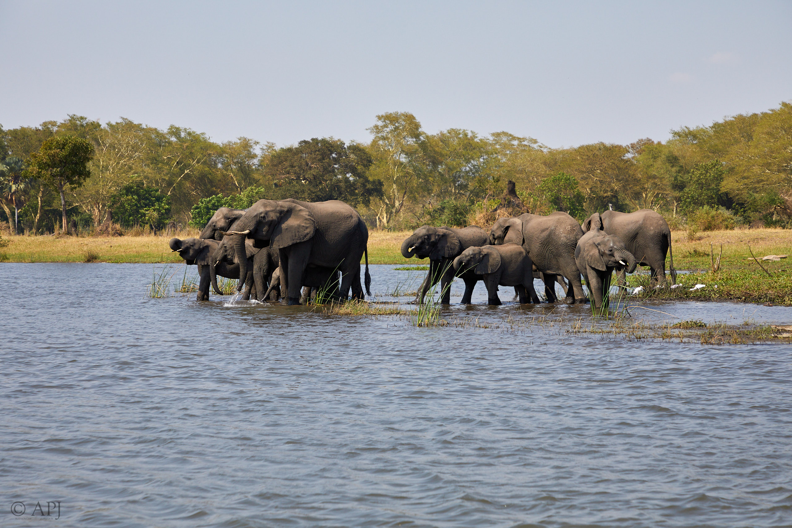 00450 APJ Sambia Malawi 2018 03494