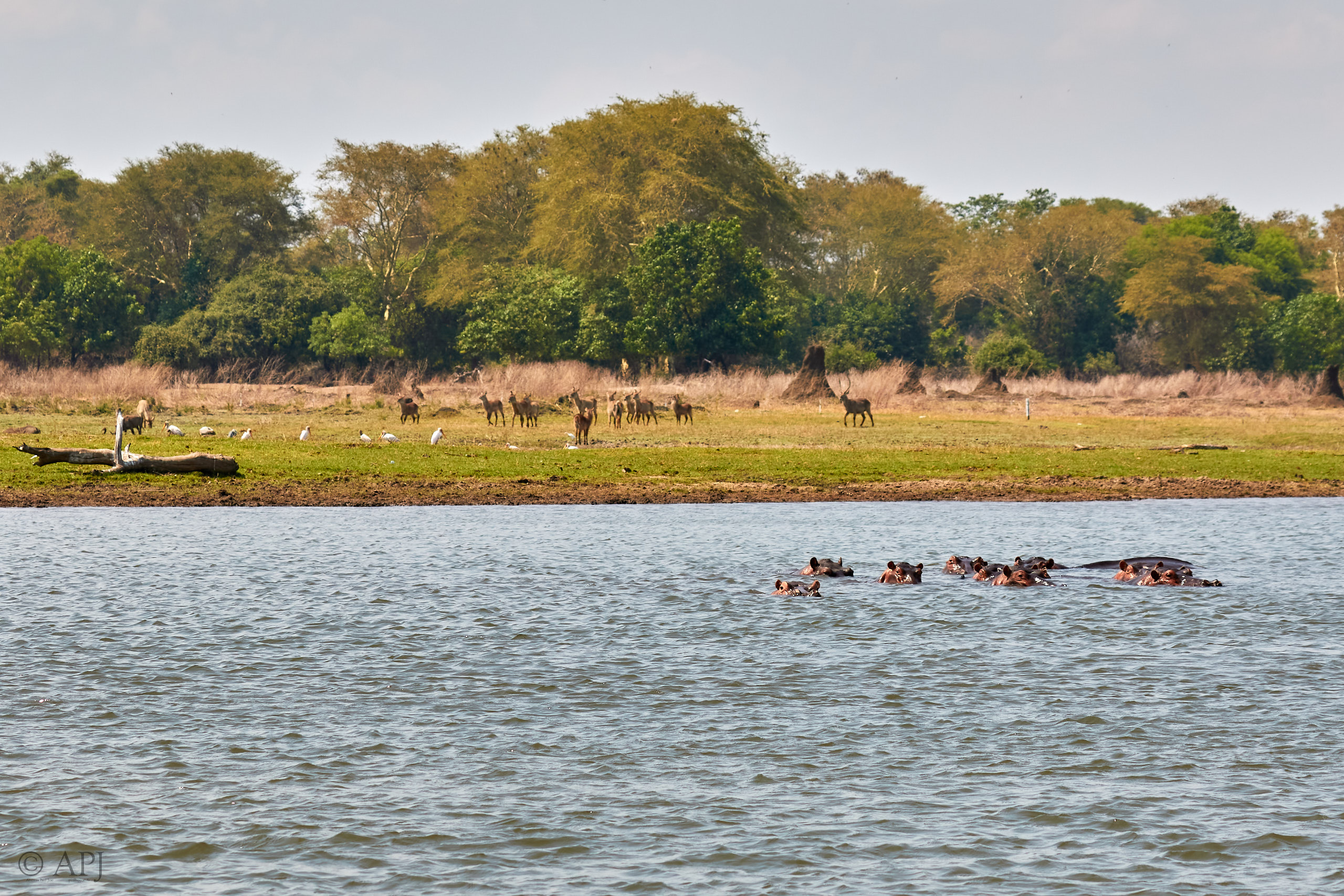 00462 APJ Sambia Malawi 2018 03692