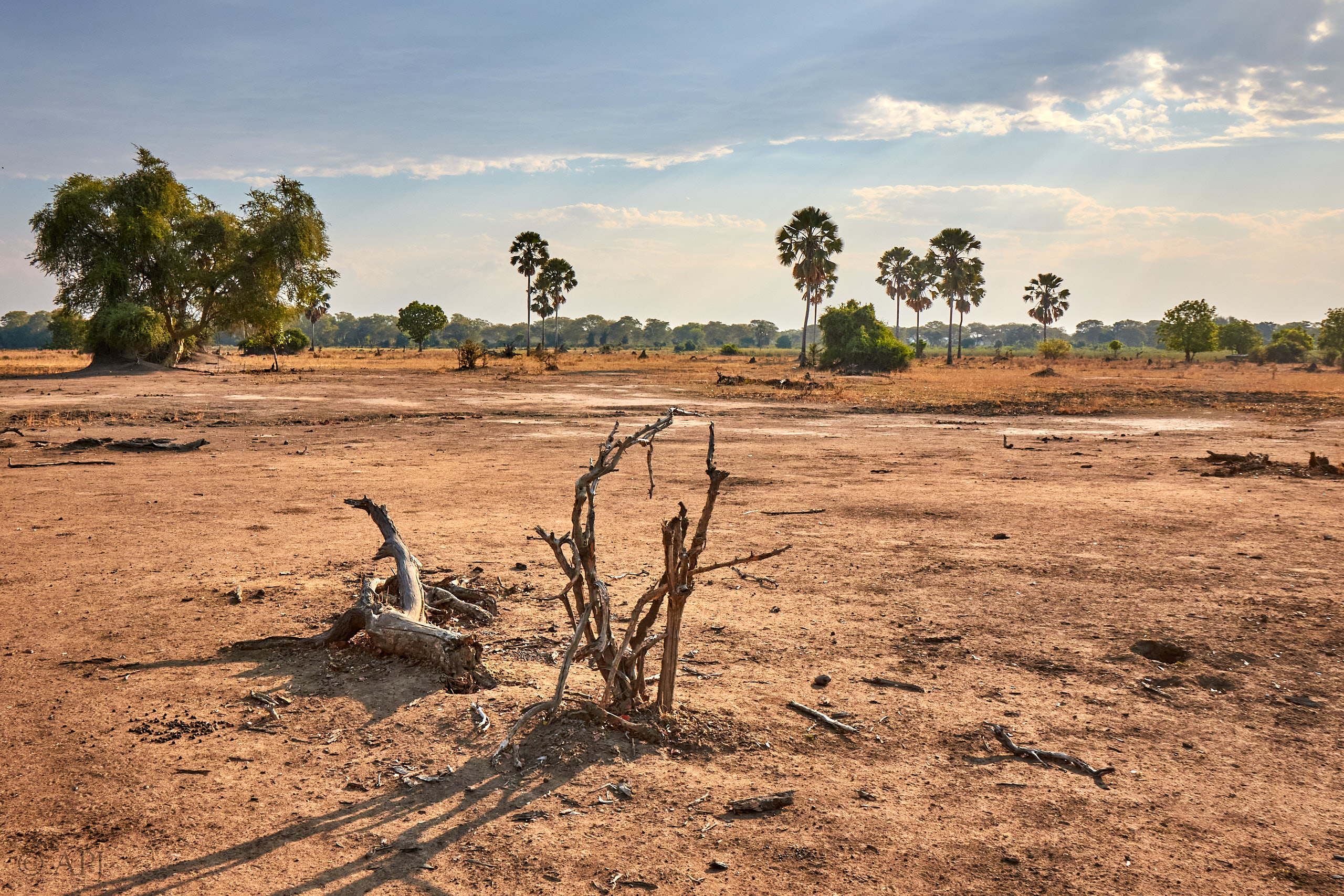 00471 APJ Sambia Malawi 2018 03861