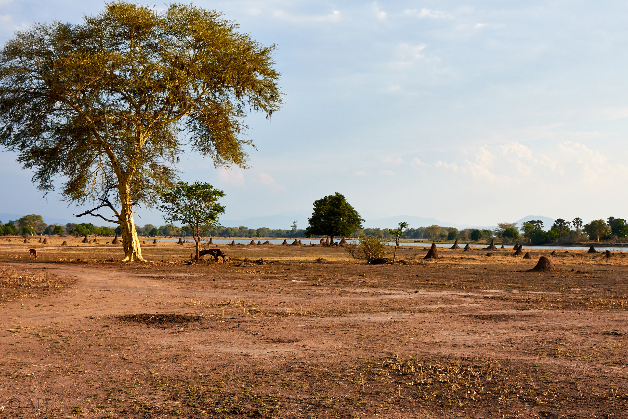 00477 APJ Sambia Malawi 2018 03901