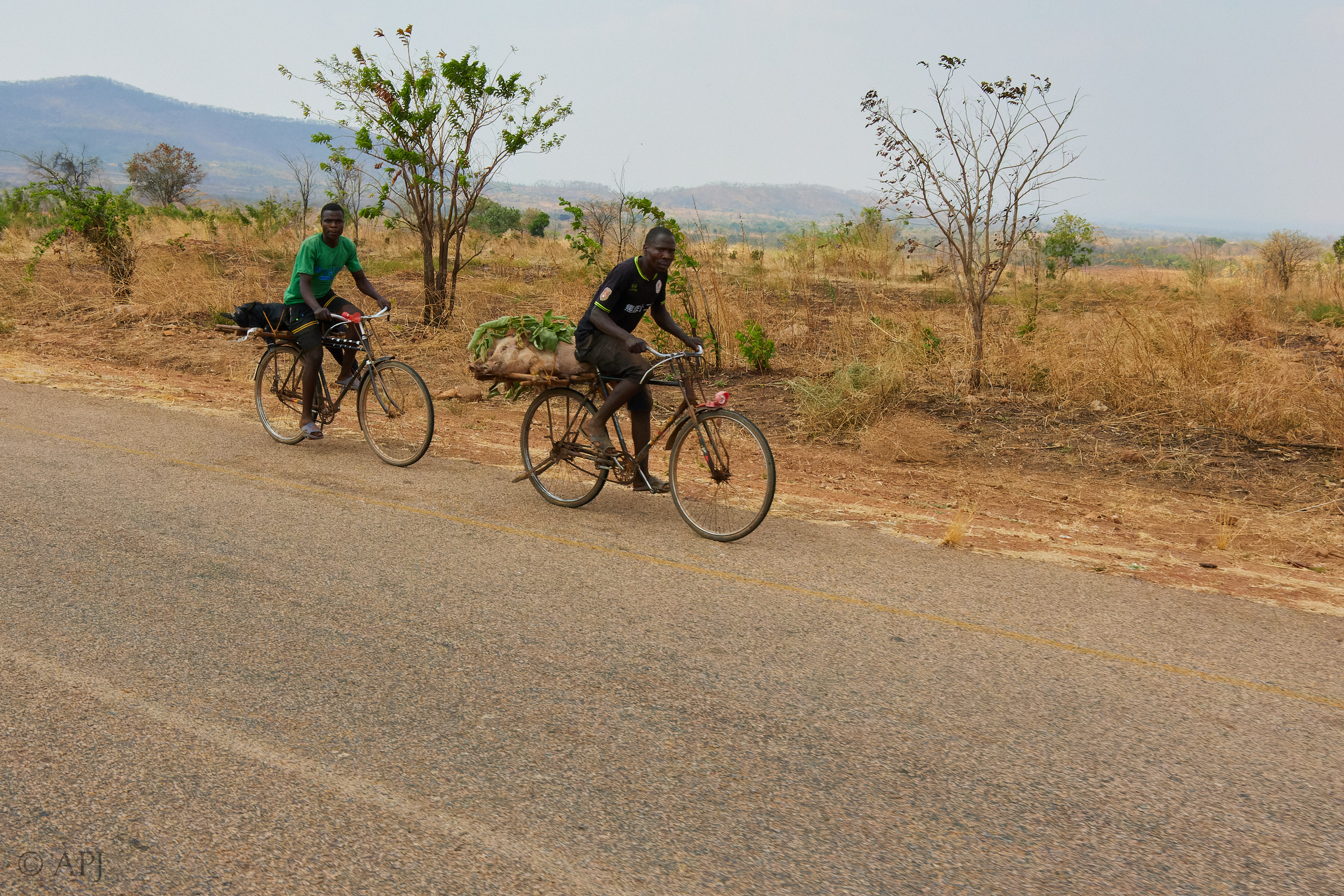 00053 APJ IMG 1002 CR3D