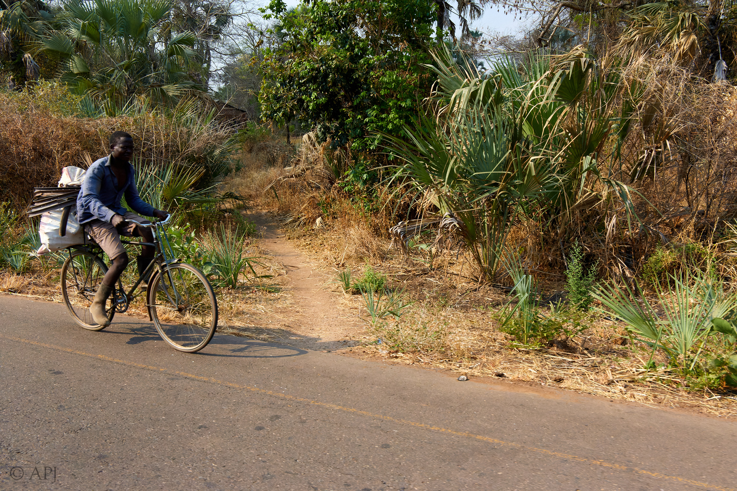 00054 APJ IMG 1031 CR3D