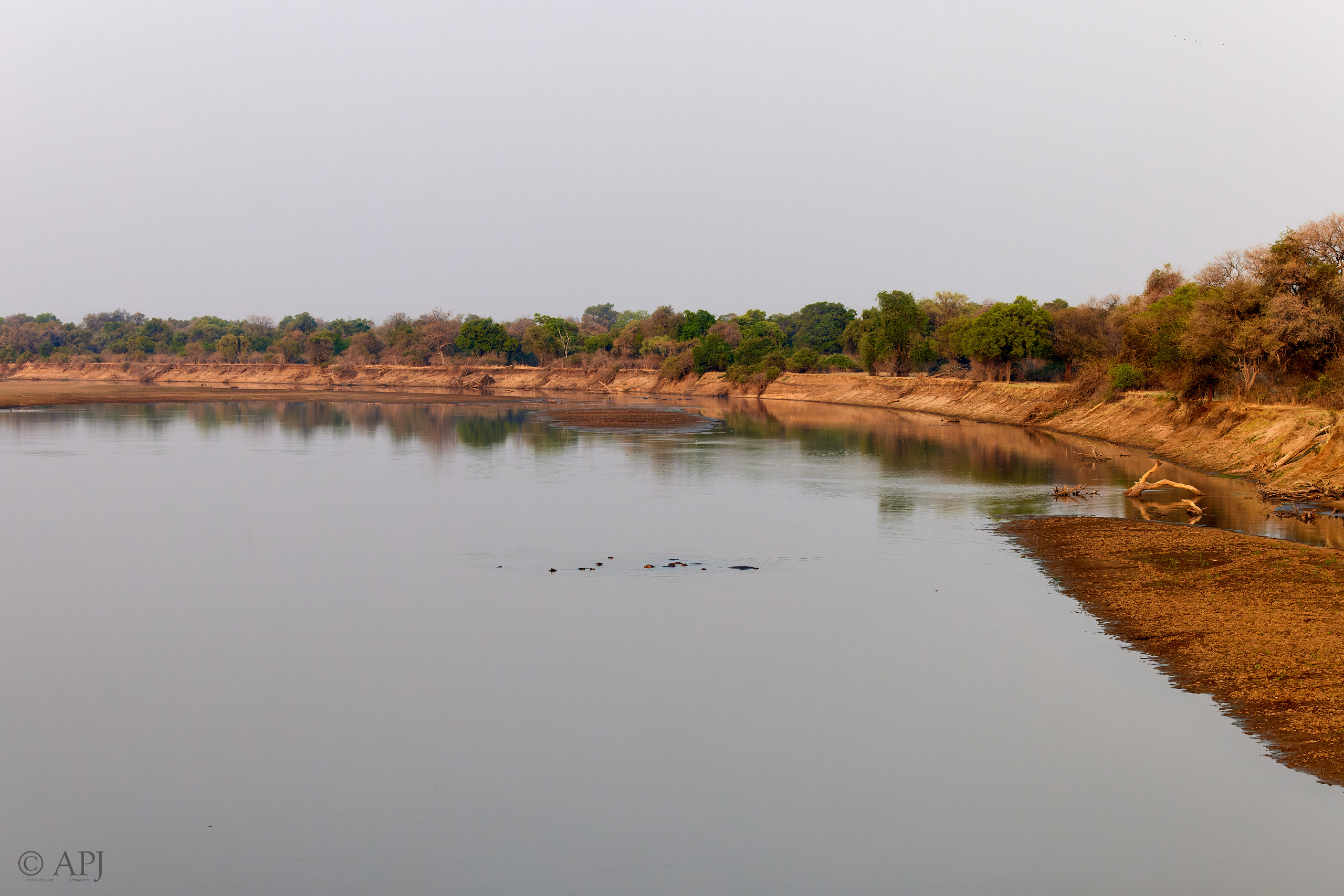 00156 APJ  A7A7431 CR3D