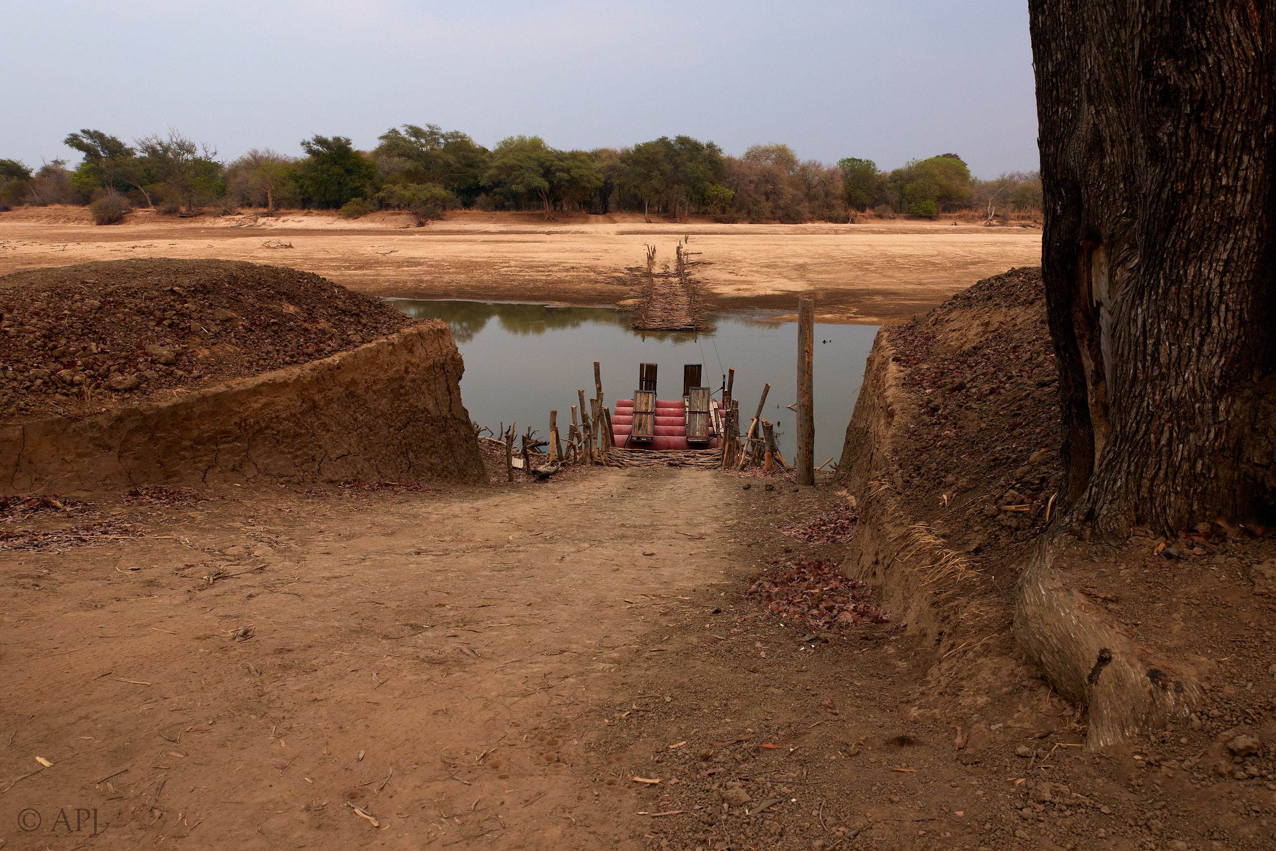 00318 APJ  59A9263 CR3D