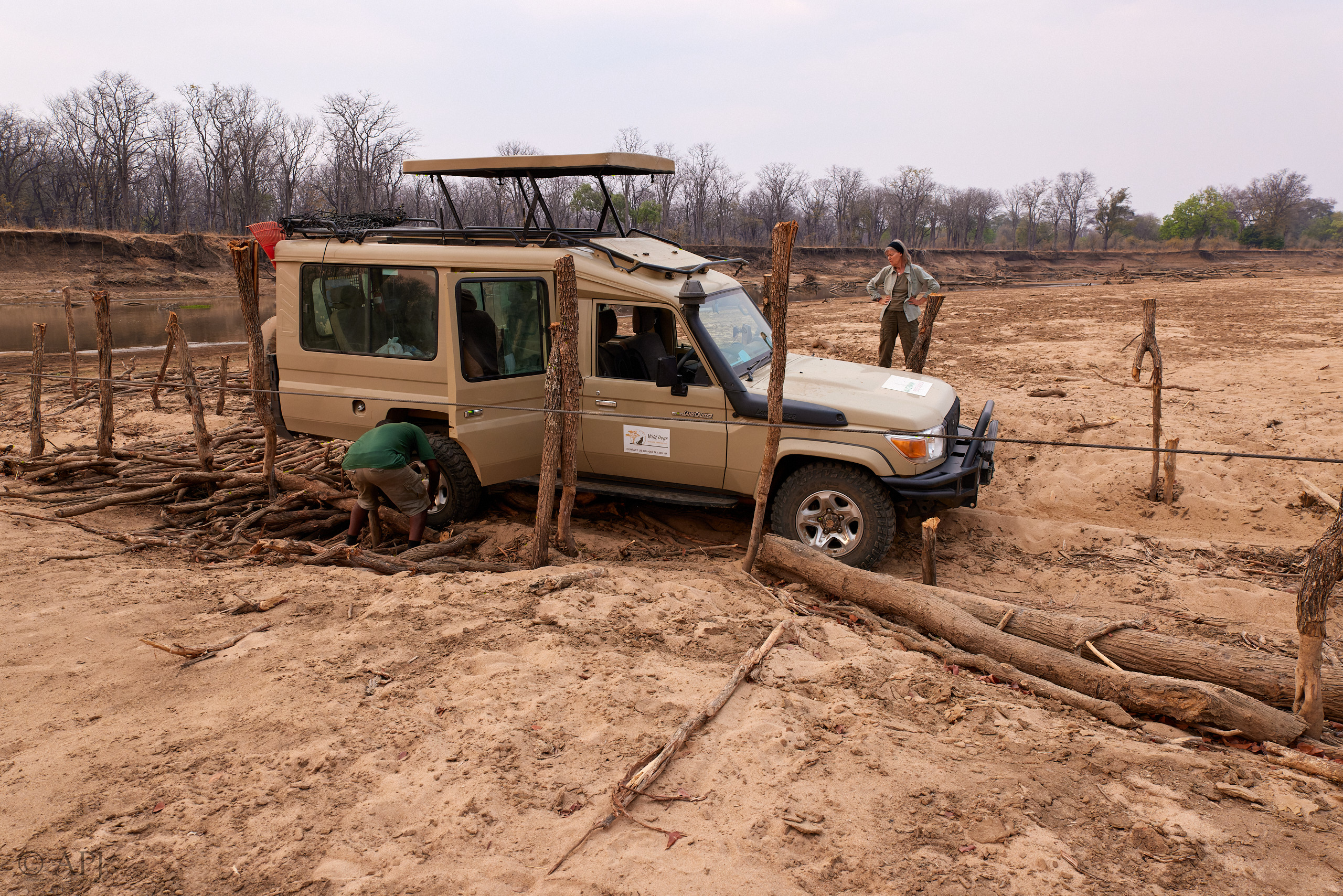 00322 APJ  59A9281 CR3D