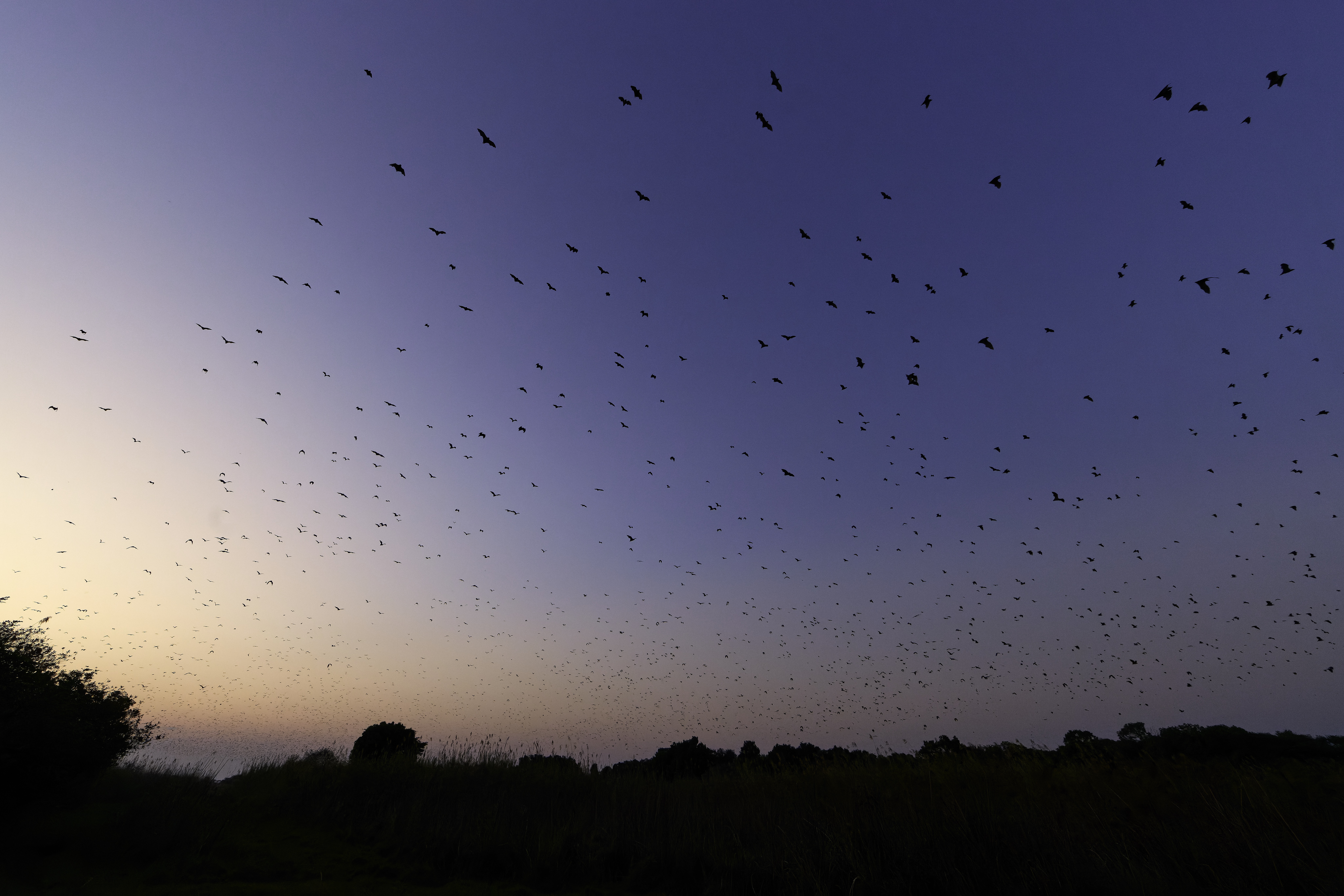 00423 APJ  59A9474 CR3D