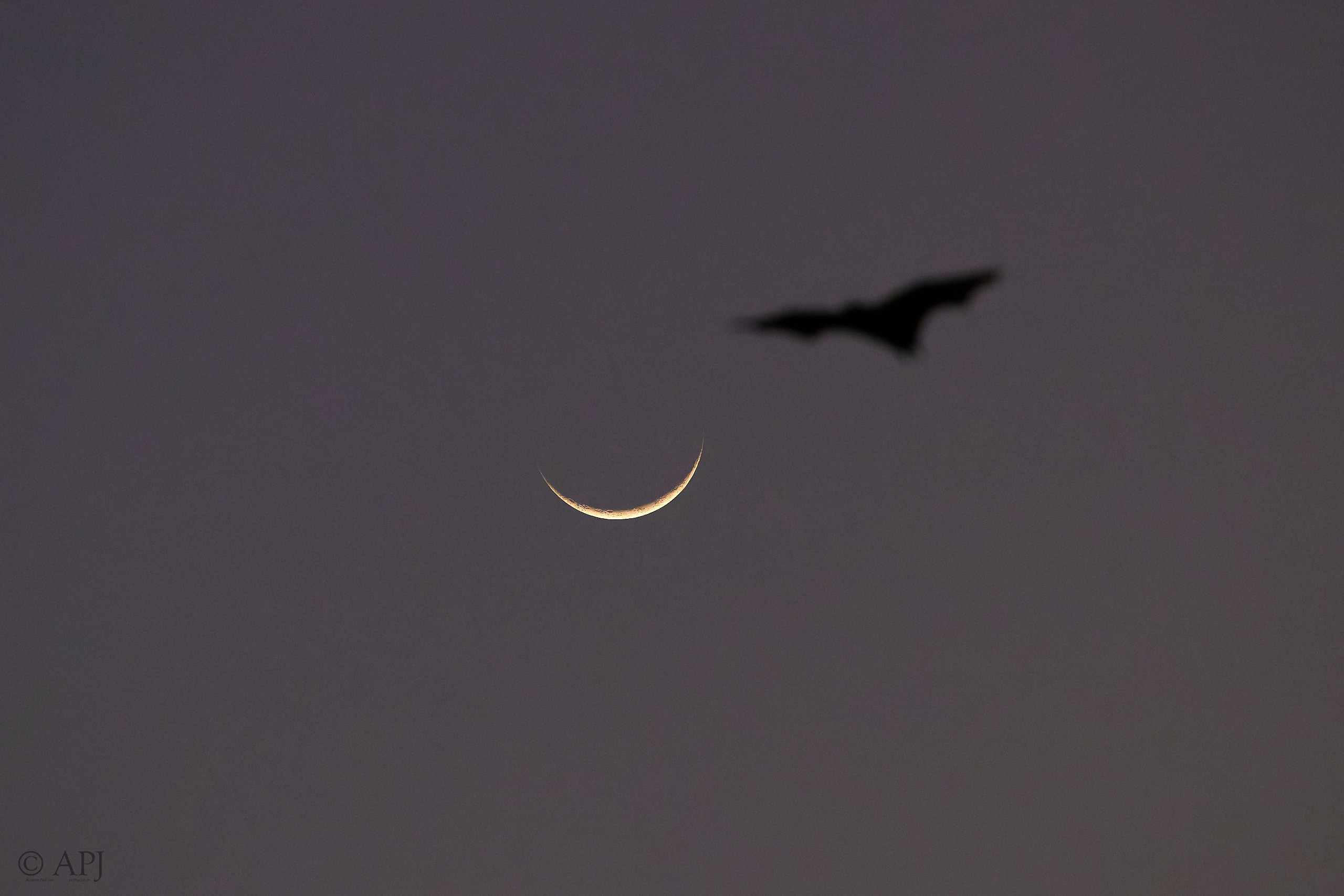 00433 APJ  A7A0416 CR3D