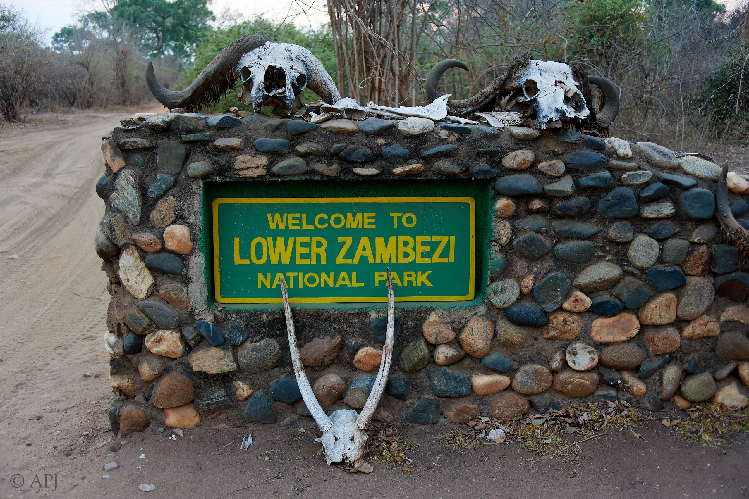 00570 APJ IMG 1543 CR3D