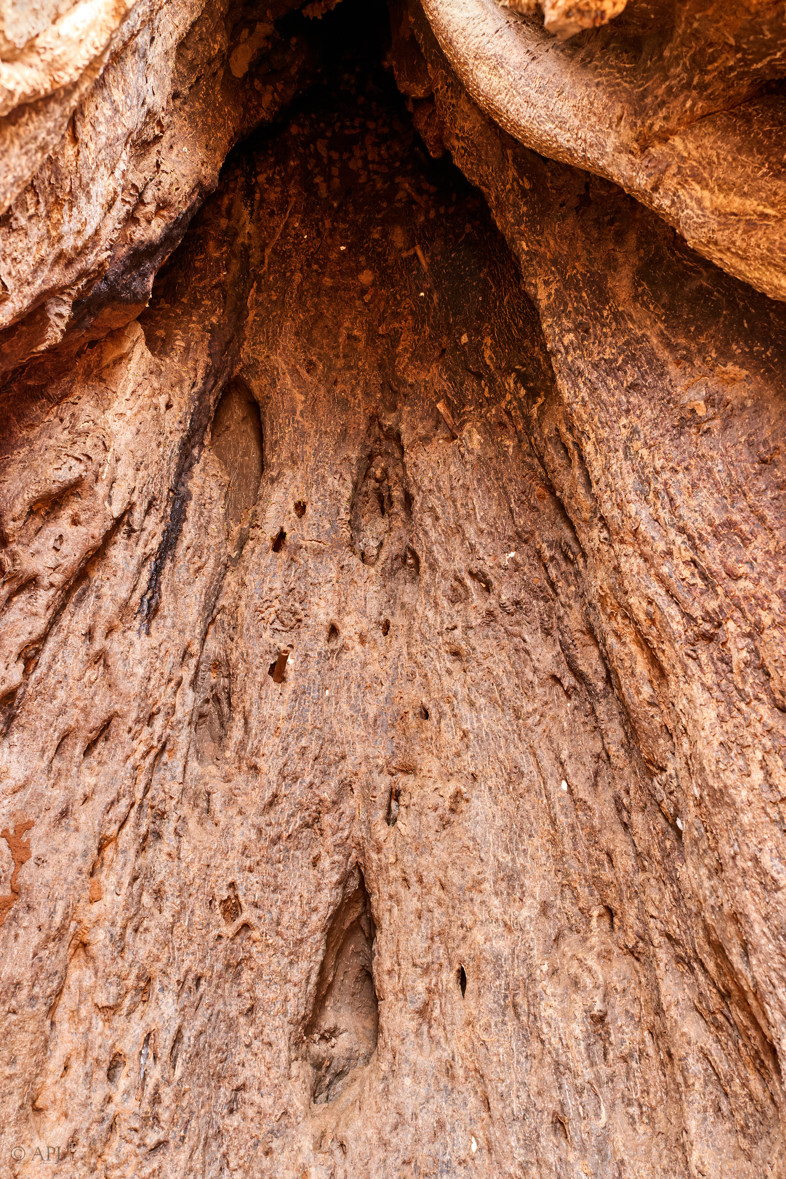 00668 APJ  59A0308 CR3D