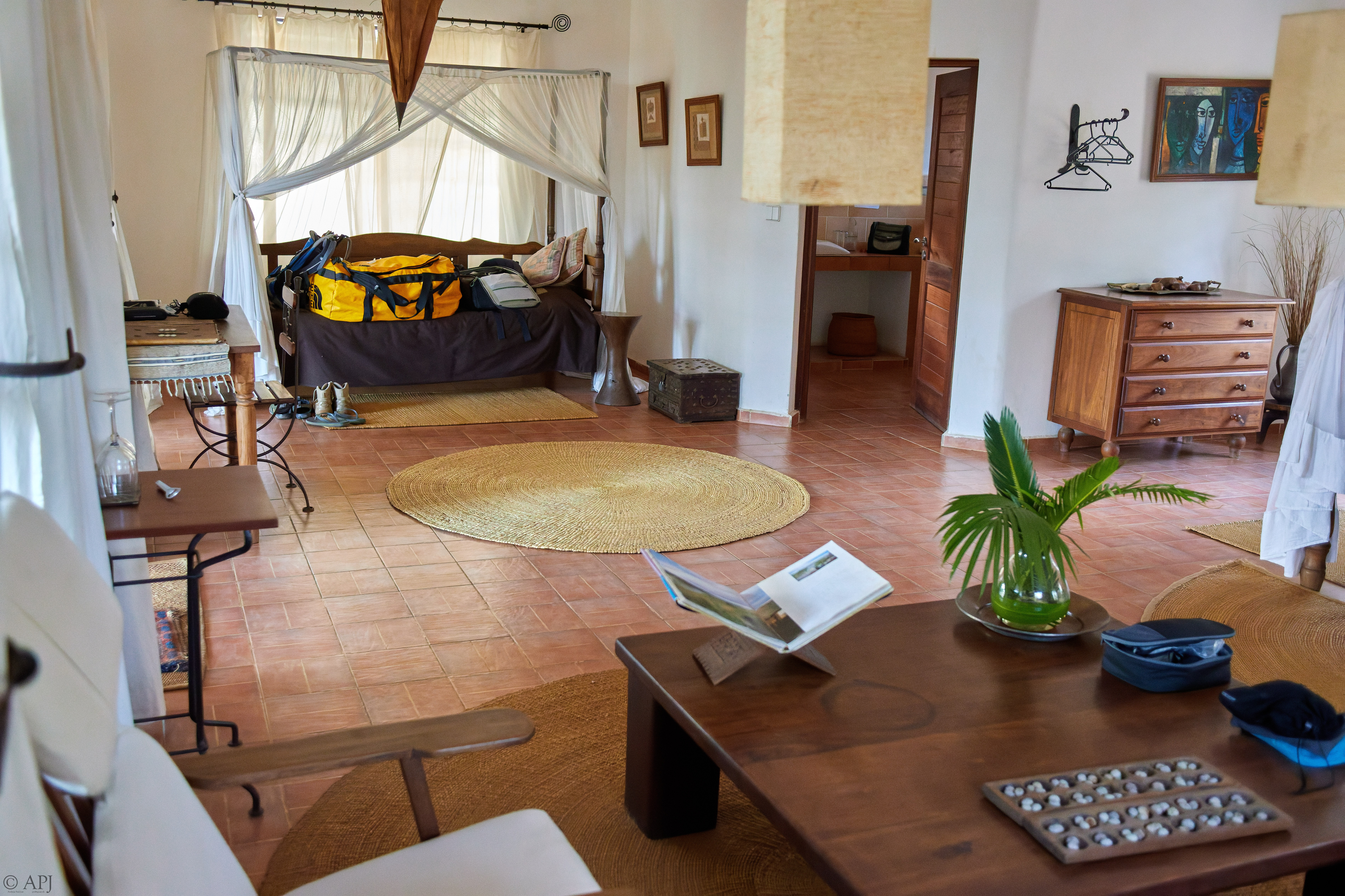 0095 IMG 8198 20251001 DXO