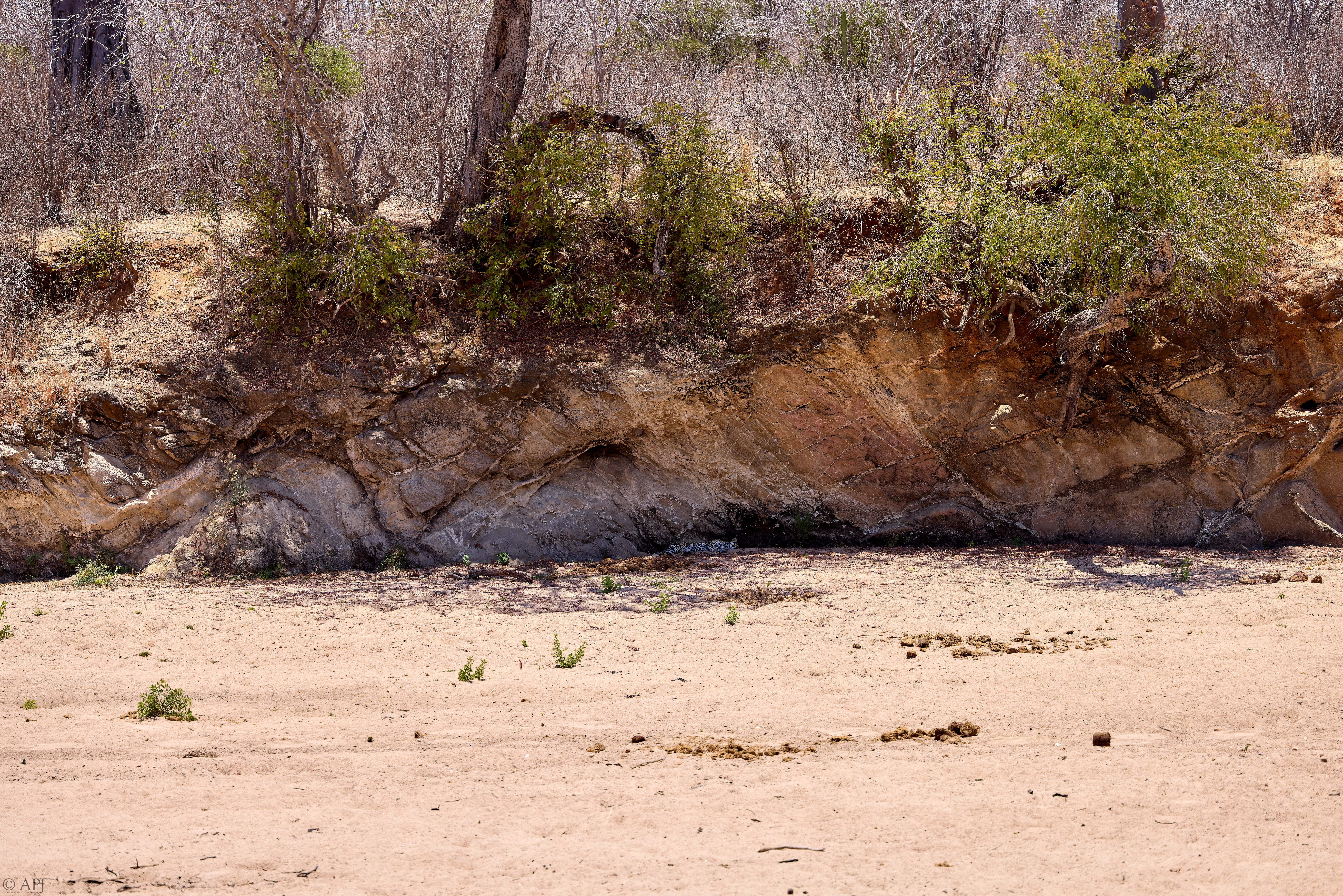 0349 APJ A7A9484 20251009 DXO