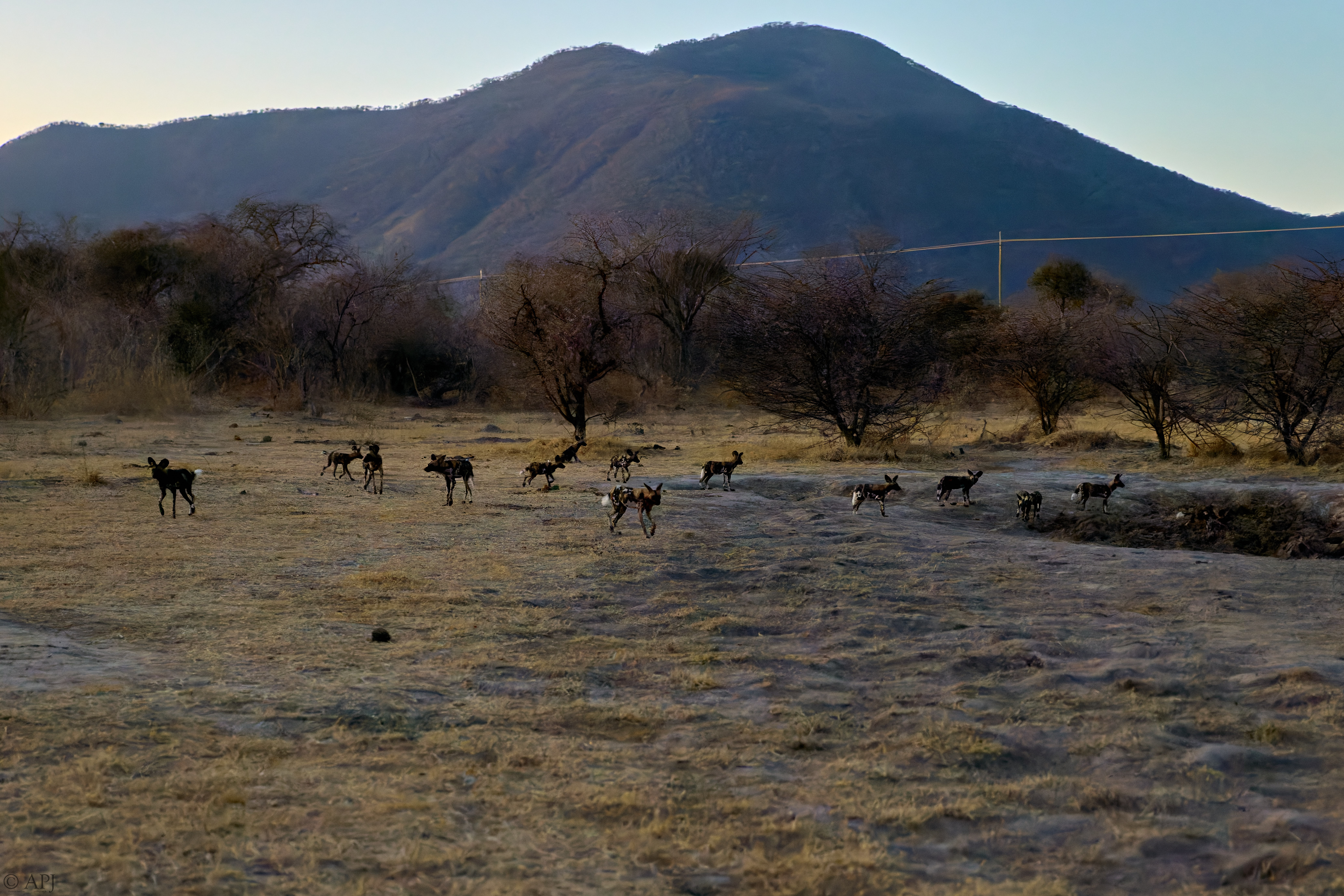 0372 APJ 1422 DXPPR5